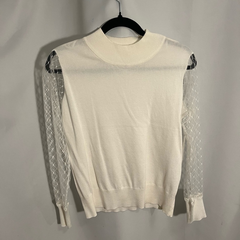 CHIC & SHEER SLEEVED SWEATER
